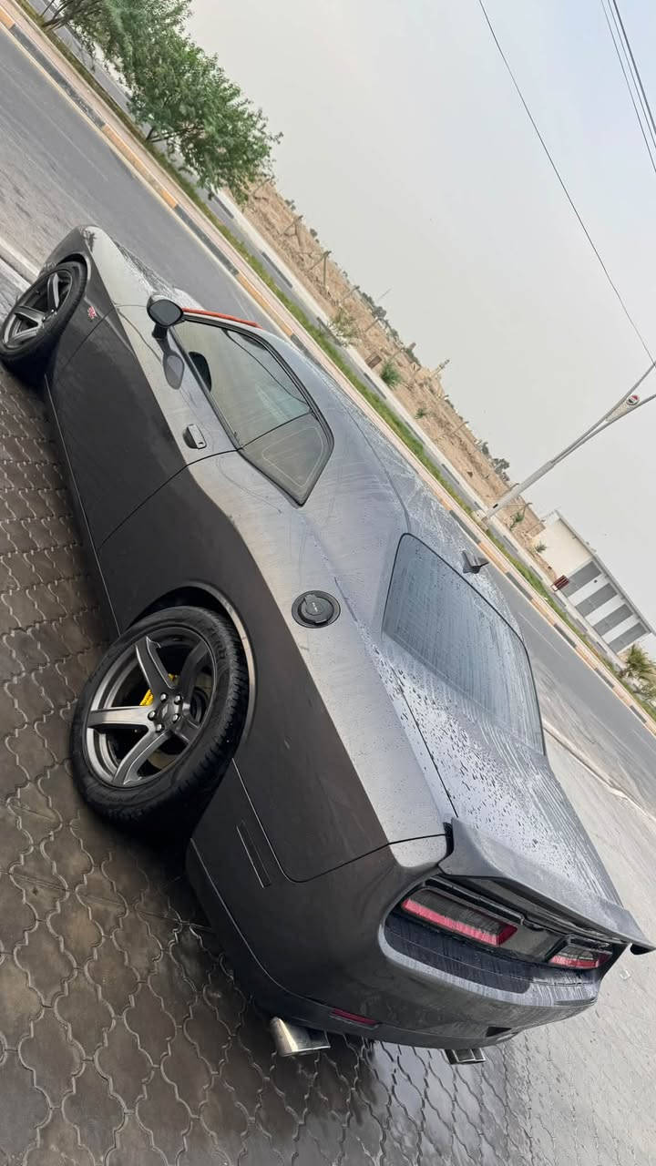 جالنجر سكات باك • ٢٠١٥ • بدون حادث