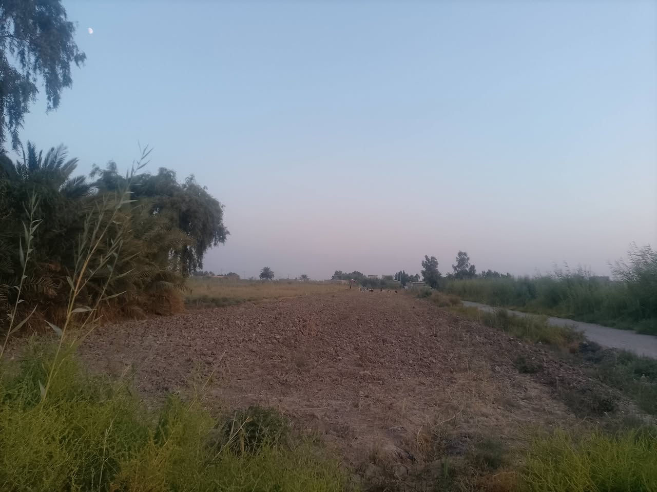 ربيع سلام عليكم أرض للبيع منطقية اليوسفيه مع كافة الخدمات ماء كهرباء سحب ذهبي اساله مدرسه مستوصف ***********
