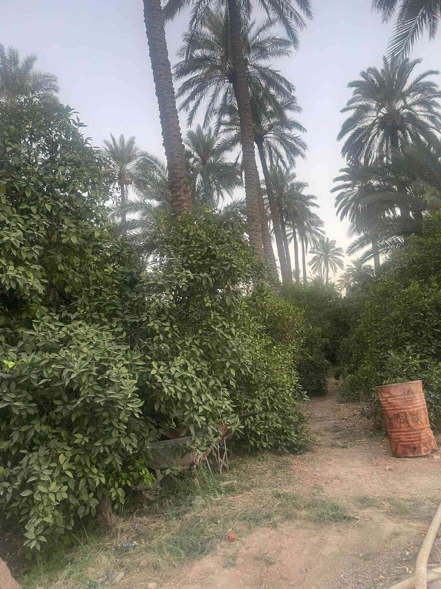 شركة دواجن • قاعتين جاهزات • ٢ دونم