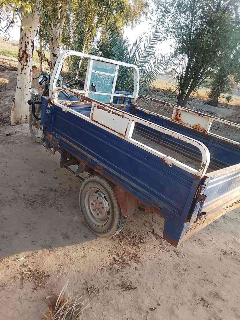 ستوته 21 للبيع اوراق 
جديده ونضيفه مال بيت هذا الزنجار الي بيها لان واكفه وما مستعمليها رايدها بمليون وربع وبيها مجال 

***********
