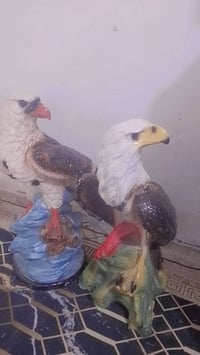 يوجد تحفيات 2بدون كسر ولا ضرر للتواصل 07815498678
