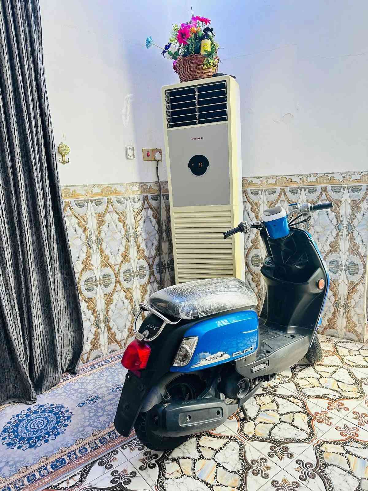 ماكس بوليسي • ياباني • مسطره