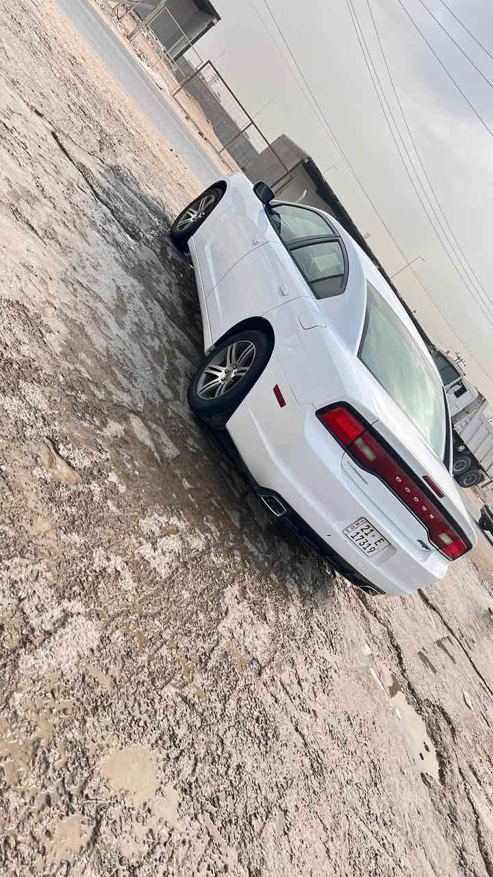 جانجر • ٢٠١١ • كفالة