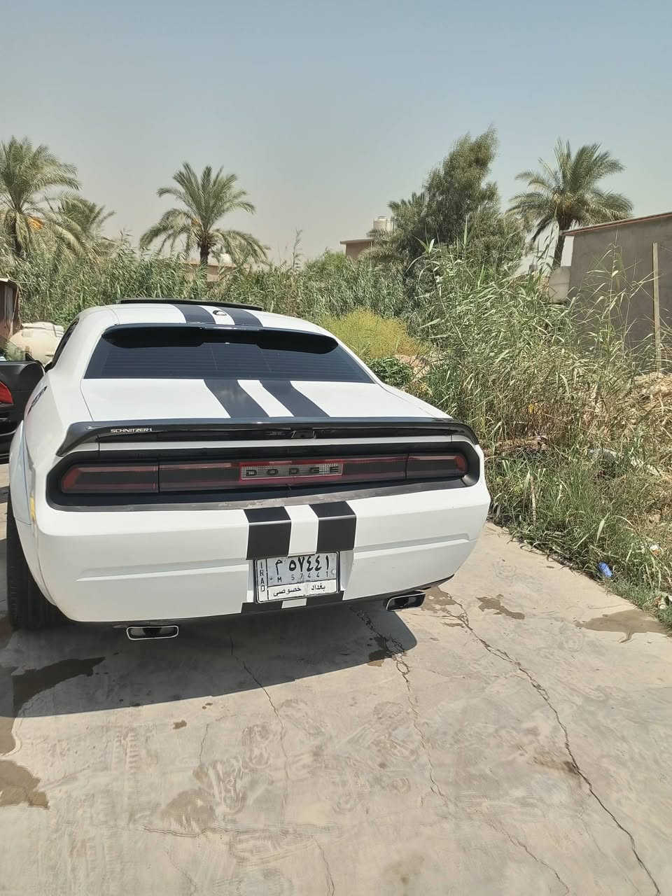 سلام عليكم
جالنجر للبيع فول فول 2013

***********

***********
السعر110

