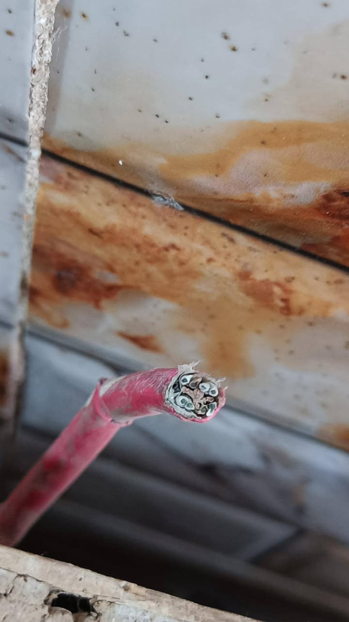 كيبل LAN مسلح ، تقنية CAT 6 طولة 177 متر اذا مو اكثر للبيع خلي سعرك واذا ناسبني نتفق لكن بدون كسر لأن الكيبل نوعية ممتازة وحديثة ودبل تسليح .
مكاني البصرة الموفقية
رقمي : ***********

