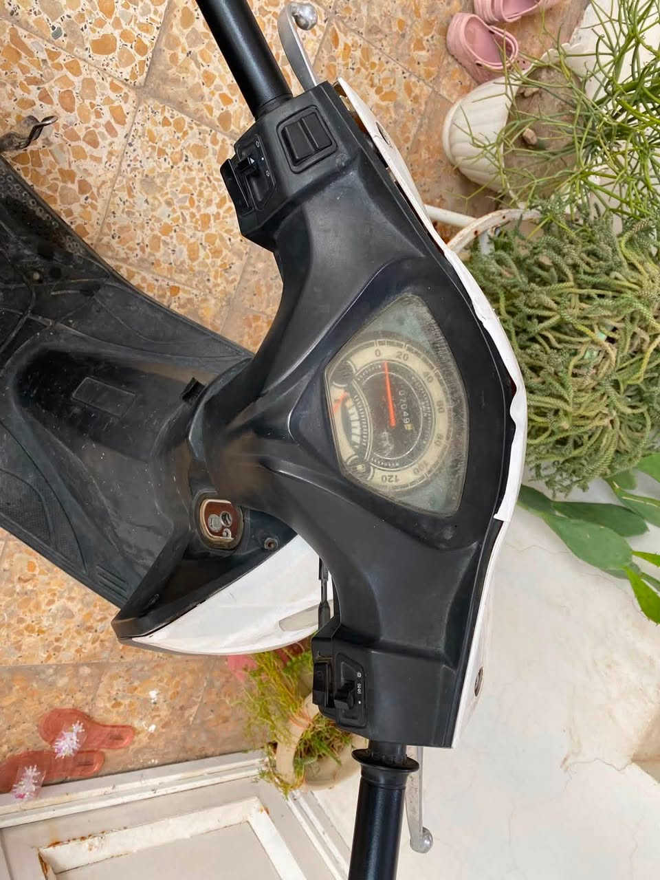 السلام عليكم دراجه سايوم شلعتهه مال بطح ادامة بالجديد على شوفه عينك سعرها ٦٠٠ وبيهه مجال للطيبين ***********
مكاني كربلاء الحر

