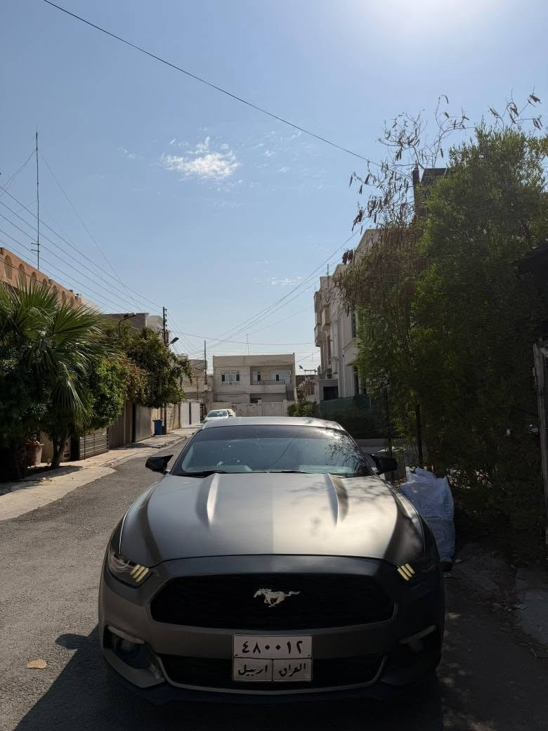 Ford mustang 2016 v4 Ecoboost
سەیارەکە کامل کراوە بە مات زەمانی ٥ ساڵ . مواسەفات کامێرا و کوشن کارەبایی و ٣ گێر و دەشبول ٧ رەنگ سەیارەیەکی تا بڵێی جوان و بێ کێشەیە ١١٠ میل رۆیشتووە گێڕ و مەکینە و تەبرید بە شەڕت مەکینەی گۆڕاوە ٢٠٢١ لەسەر دانراوە بێ کرانەوە . بێ مەسروفە و وەکو لێدران سەیارەکە ٤ پارچەو قنجێکی لە سەقفی هەیە چاکراوەتەوە و بە عام دەیفرۆشم پێشی کەپسە قنجی نیە جەمپەکی پشتی هەیە کەمێک شانسی پشتەوەی گرتووە 

نرخ: 101$ کەمێک مەجالی تێدایە نزیک 7 وەرەقە غەرامەی لەسەرە لە پاش مەعامەلە دەگەڕێتەوە
*********** أربيل, العراق
