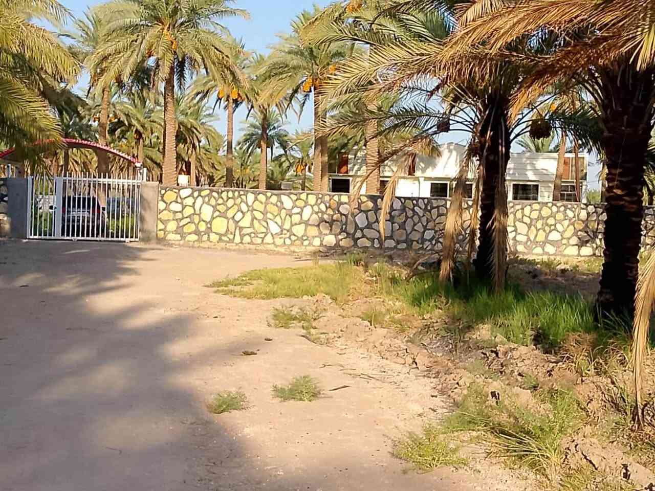 للباحثين على الهدوء والابتعاد عن الزحمة والضوضاء
للبيع المستعجل ارض طابو 25 مساحتها 2000 متر موقع مميز جدا

موقعها المحاويل قرب بيت أبو الطياره تبعد عن الشارع العام مايقارب 200 متر وقريبه على طريق مطار كربلاء المقدسة الجديد 

مواصفات الأرض طابو سند 25واجهه 28متر ركن على ثلاث شوارع الأمامي 10 متر والجانبي 5 متر والي بالخلف 8 متر  متوفر فيها كل الخدمات تبليط كهرباء وماءً اساله وقريبه من المدارس والأسواق علماً ان الأرض مزروعة نخيل وهذه صور تابعة للأرض 

تحويل الأرض مباشر وفي دائرة طابو المحاويل 

الاستفسار والمعاينة والسعر يمكنكم التواصل عبر الرابط الخاص او الرقم المذكور أو الماسنجر@

***********

https://api.whatsapp.com/send/?phone=201040175849&text&type=phone_number&app_absent=0&wame_ctl=1@
