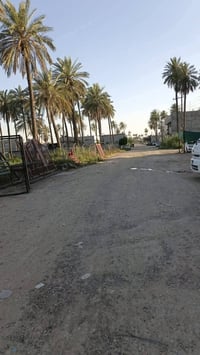 بستان الكبيسي • ٢٥٠م • ملك صرف