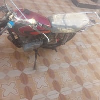 تايكر • شغاله • فول