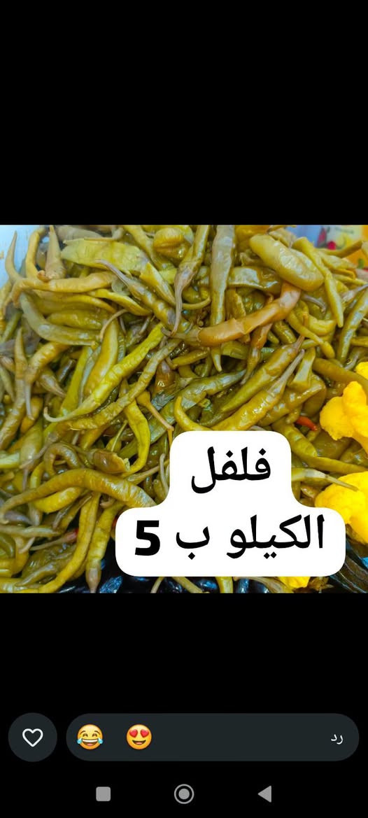 طرشي • توصيل • حجز واتساب