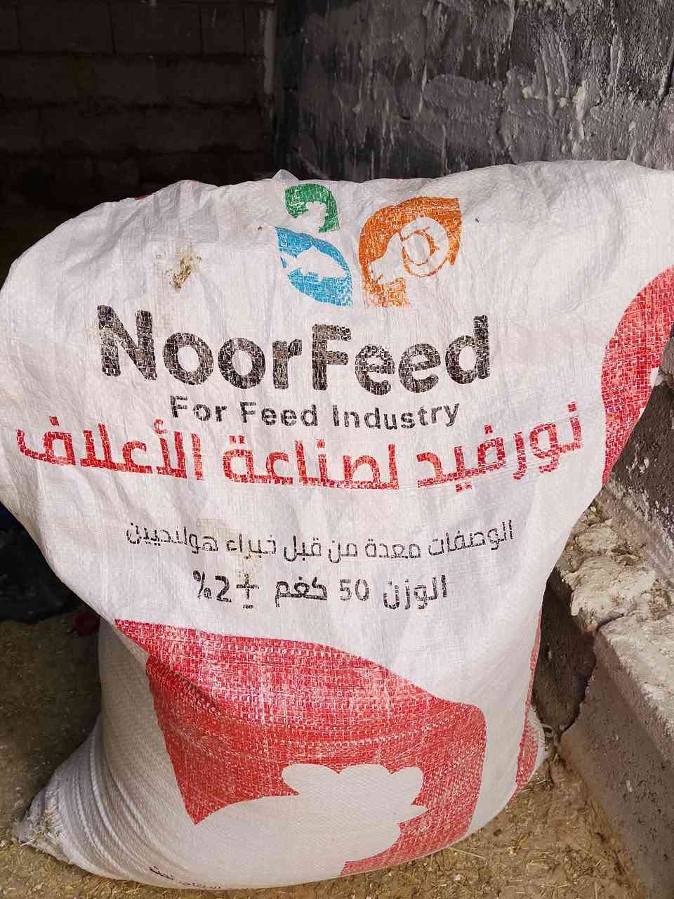 نص گونية • بروتين رقم 1 • كركوك عمل الشعبي