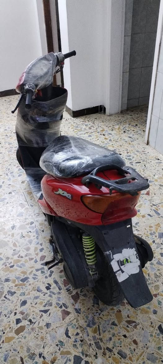 عصفوريه بلاديه سلف هندر السعر 350 وبيها مجال المكان بغداد مدينه الصدر الاستفسار الرقم ***********
