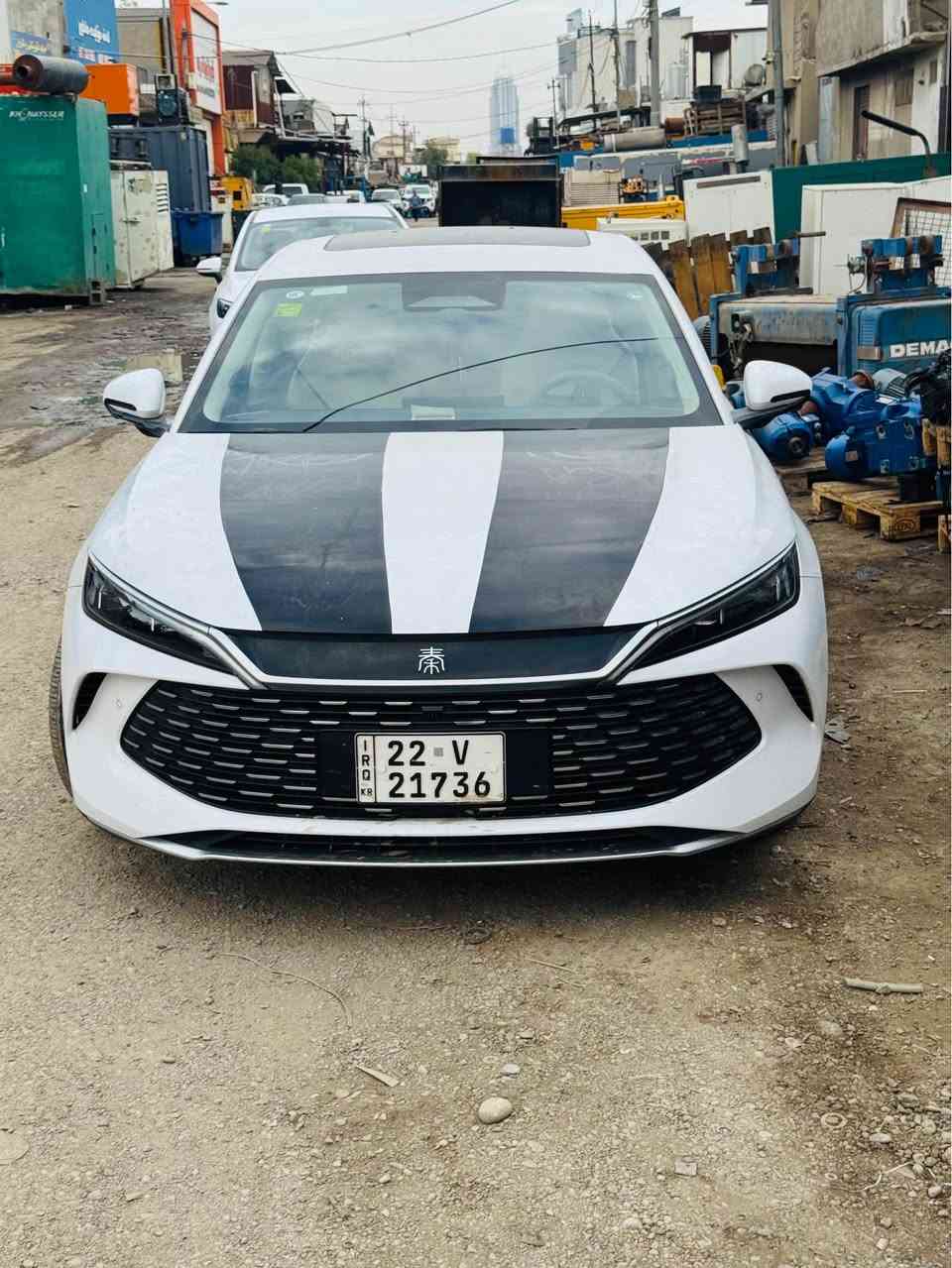فول فول • كوين L • أربيل