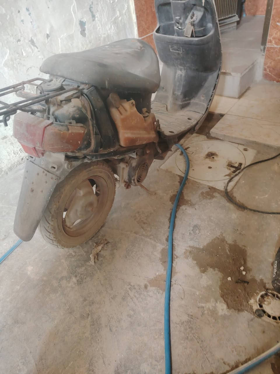 بطه متروكه للبيع سعر ٧٥ *********** طالبيه بغداد
