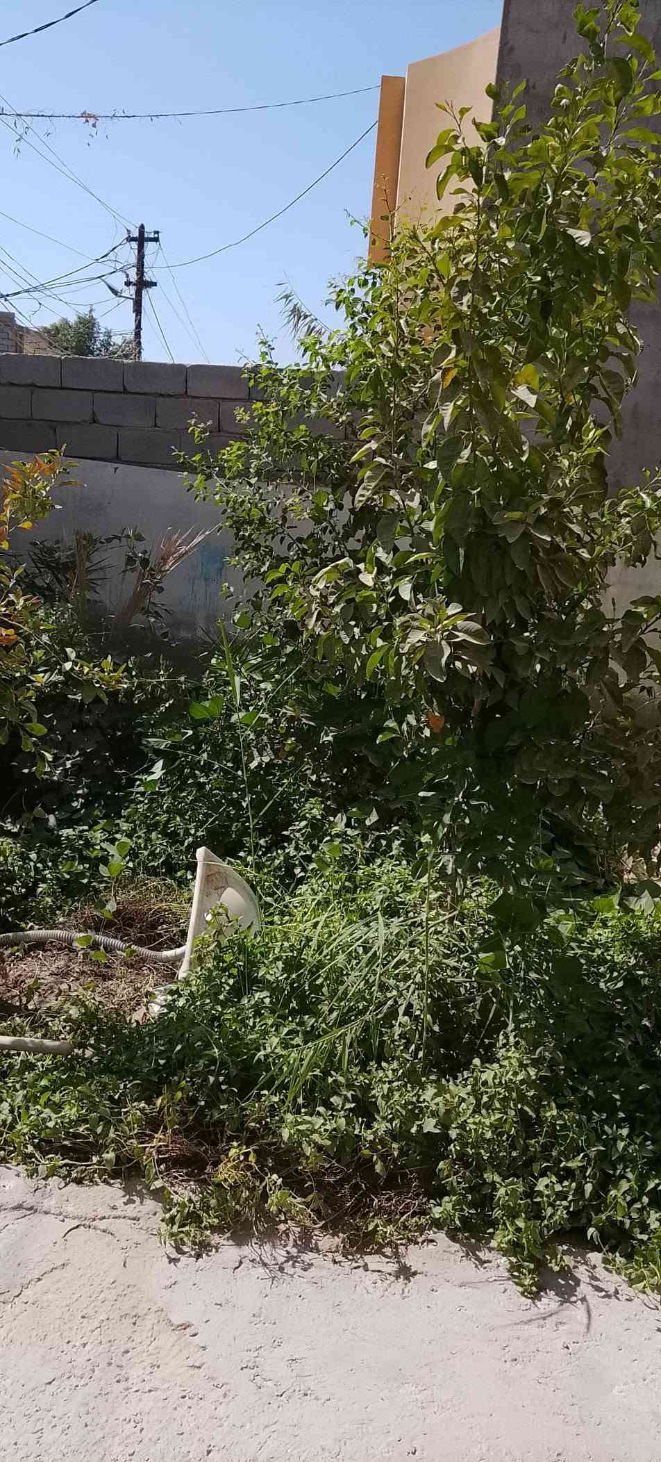مفرك • حجي ناصر • ٢٠٠م