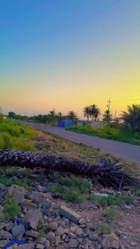 نص دونم طابو سند 25 على الشارع الرئيسي مال منطقة الشيخ عامر خدمات متكا...