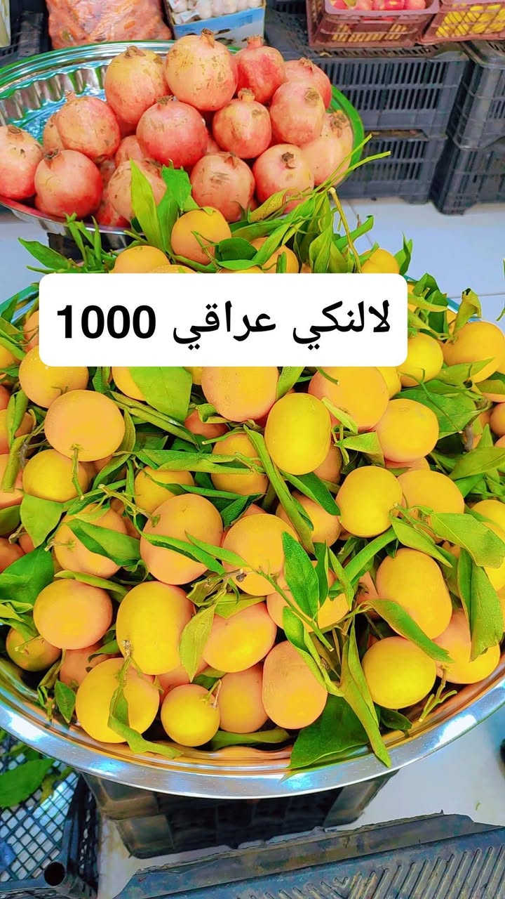 بقالة الالوسي • فواكه خضار • توصيل