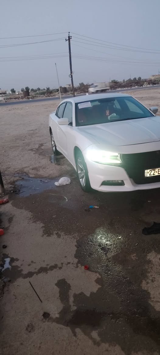 سلام عليكم موديل ١٦ رقم أربيل بسمي مراوس بصفره أريده رقم بغداد ١٥؛ ١٦ اروس *********** مروس فقط سياره بيه بابين تقسيم وبارد شويه بل جاملغ الوره

