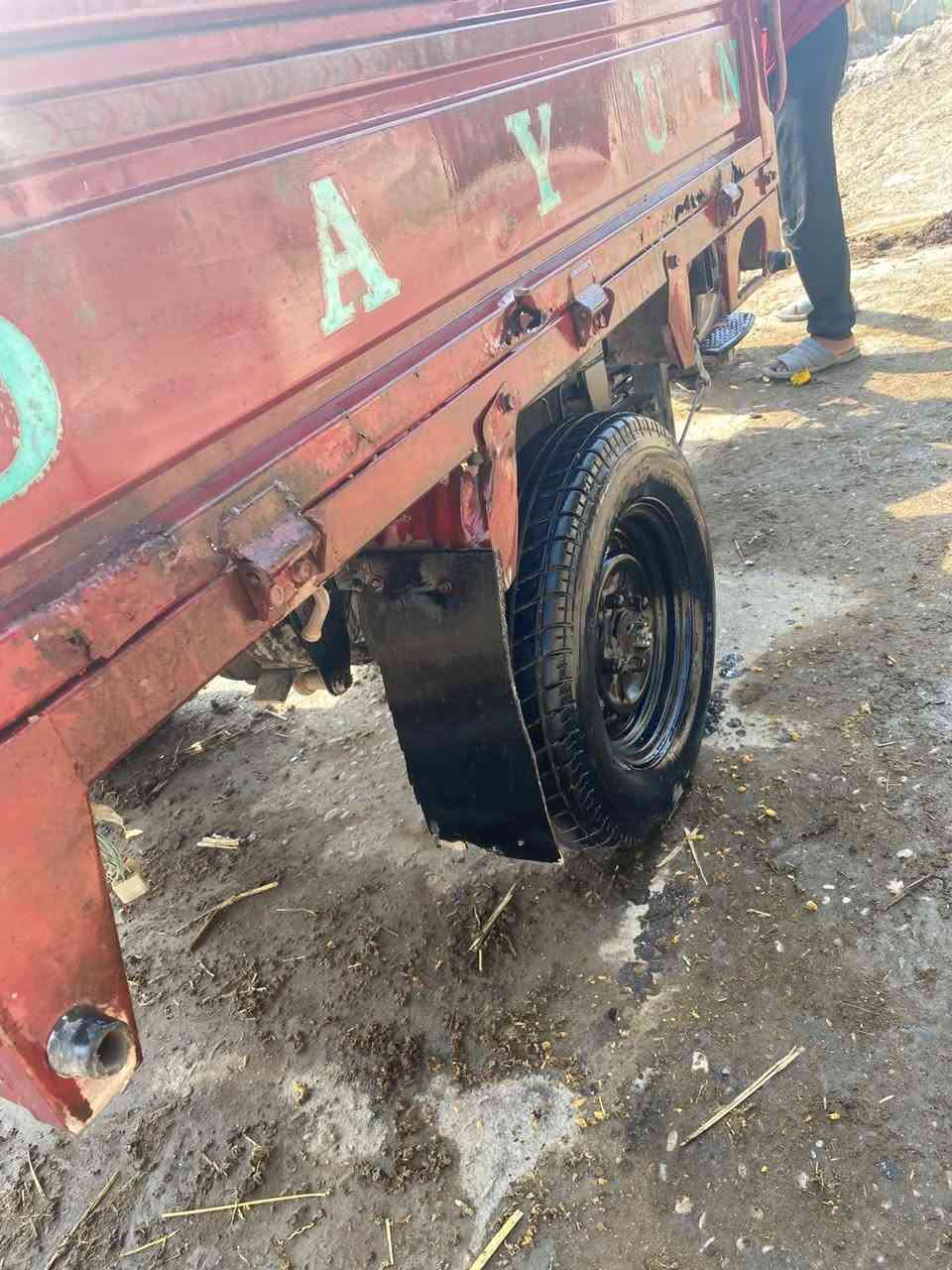 ستوته • دايون • ٢٠١٥