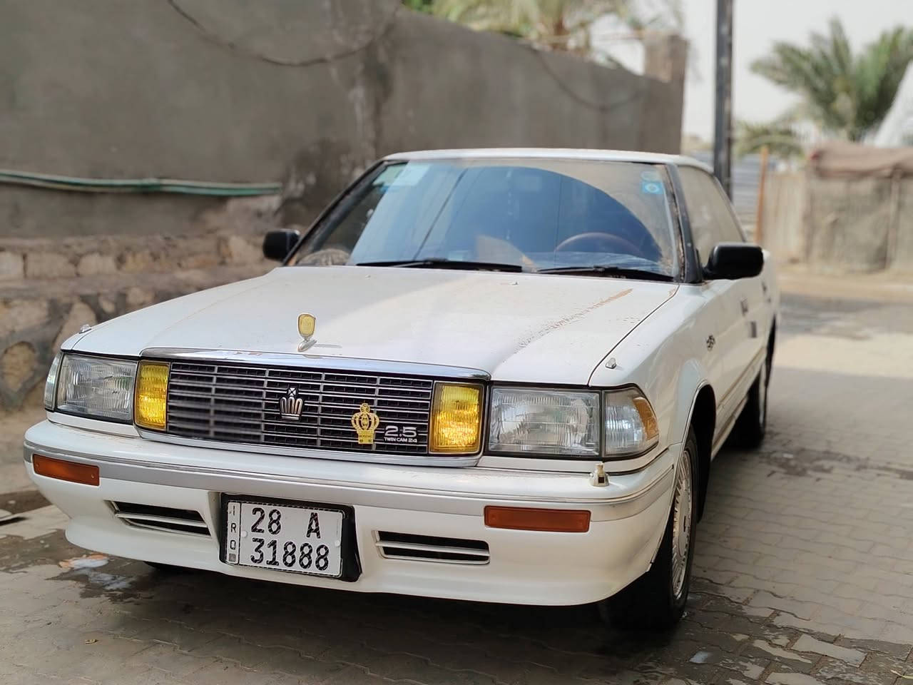 رويال صالون • هارتوب طويل • رقم نجف
