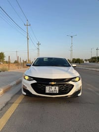 ماليبو • ٢٠٢٣ • واسط