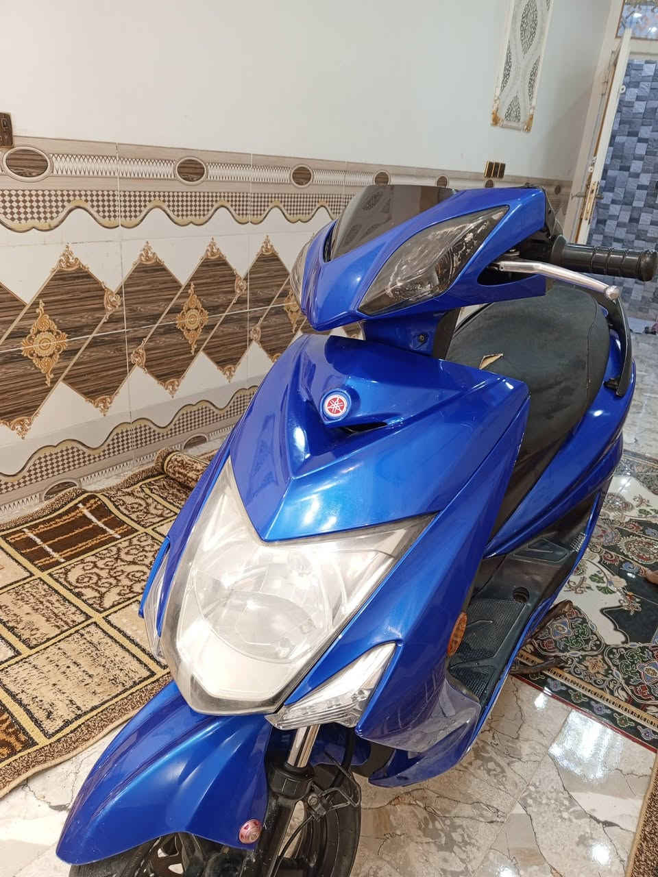 سكنس لند • للبيع • وعود كاذبة