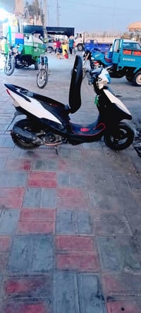 ماكس بوشه • ٤٩ • بلادي