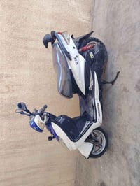 سكنس فحل • مامفتوح • سلف