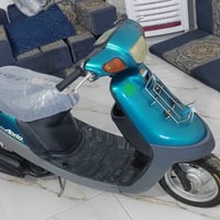 مغولي • بطة • شاصي مكفول