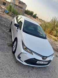 كورلا ساز • ٢٠٢٥ • الكوفة