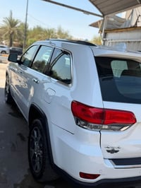 +964 773 622 8595