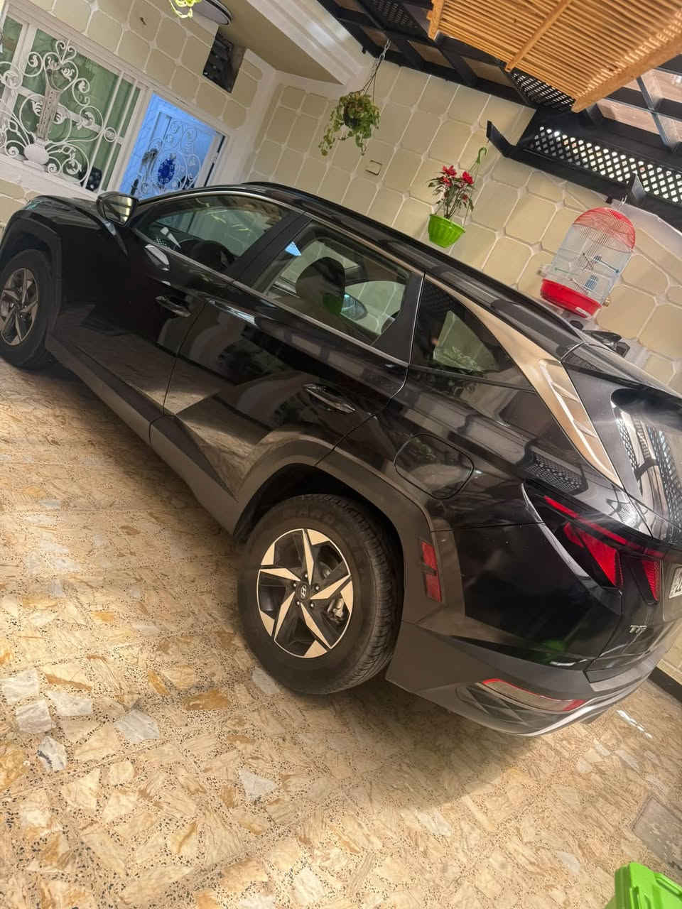 توسان • ٢٠٢٢ • رقم اربيل