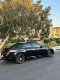 اوبيما ٢٠١٩ • كشنات جلد • فتحة سقف