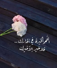 الدوانم • ١٠٠م • زراعي