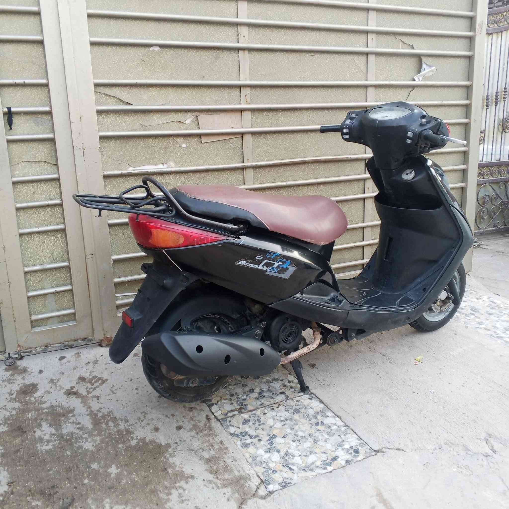 فريز ببغاء • نوزل خطين • ١٤٠