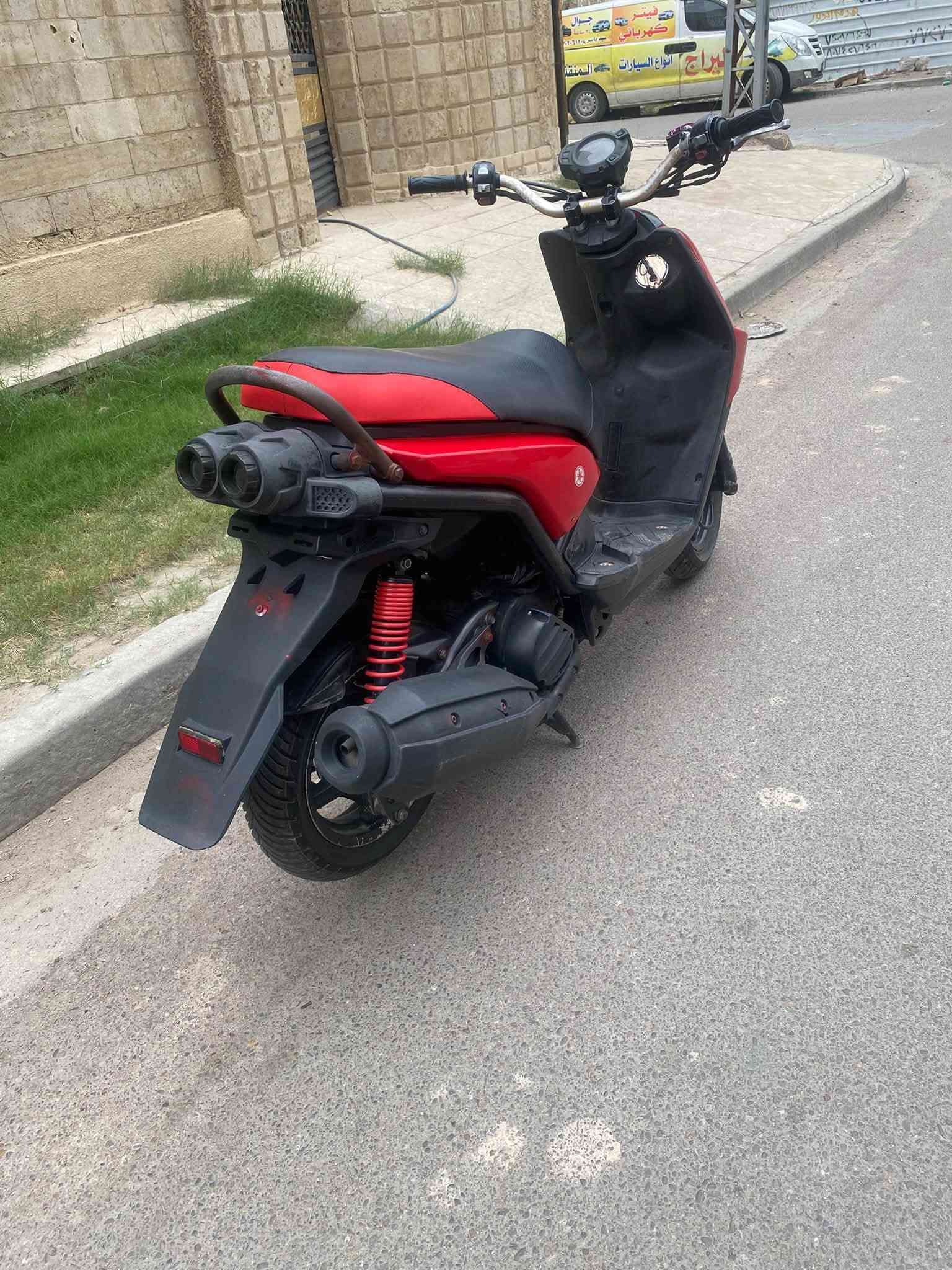 سكنس جبلي • رمبه • كفاله