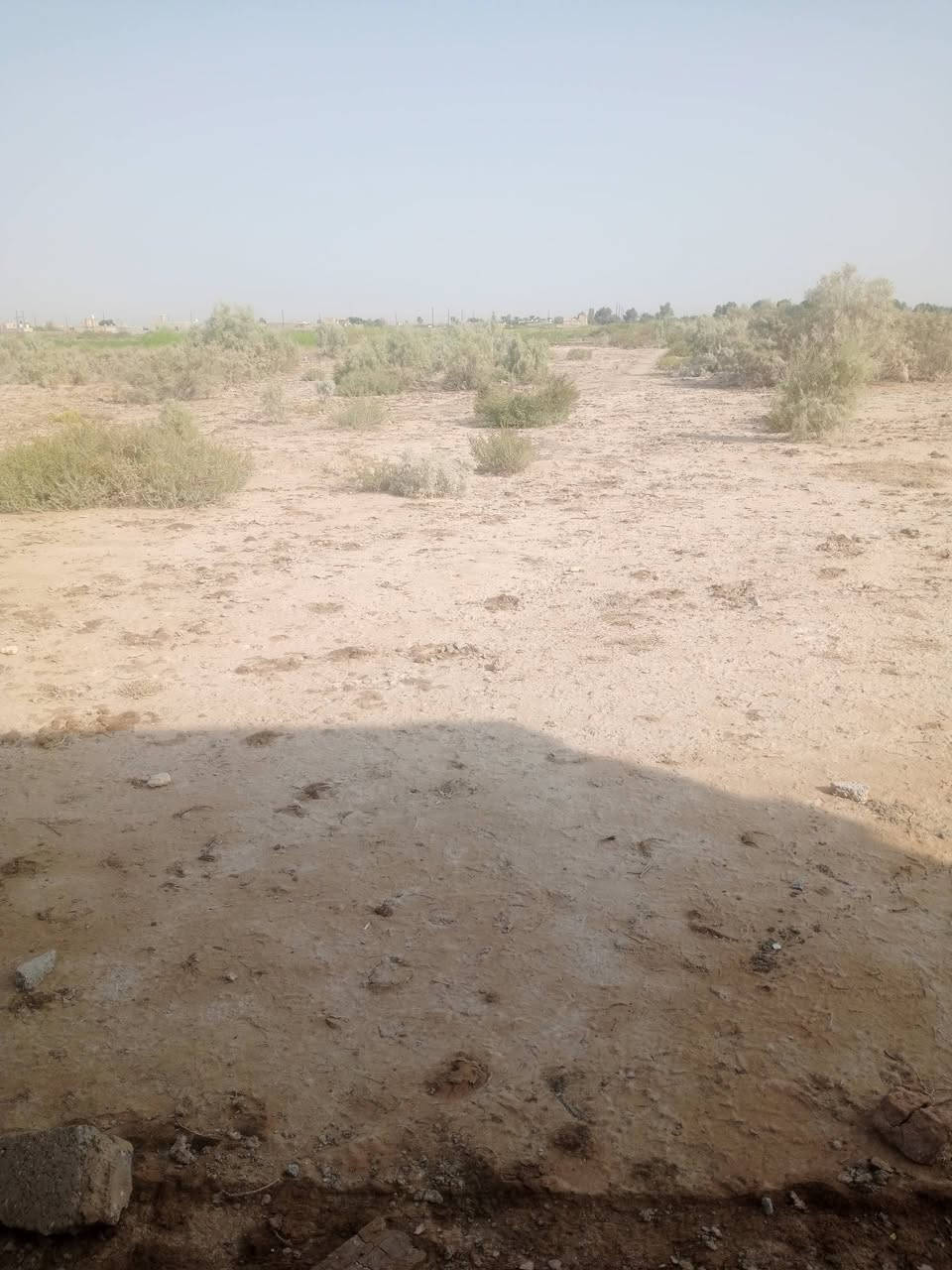 قريه ال بريع • دونم • ماء ساله