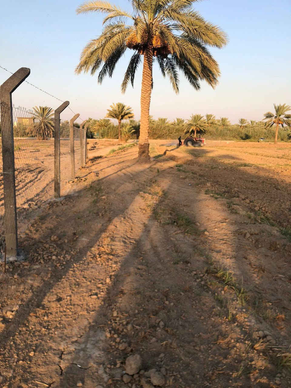 السلام عليكم
موجود دونم ونص
خلف سيد سهل
طابو زراعي سند ٢٥ مفوض بالطابو
القطعه بيها شارعين
كل شارع بيها ٥ متر عرضه
ماء اسأله وماء سقي
وكهرباء وطني ومولد تبعد عن الشارع التبليط تقريب ال ١٠٠ الئ ١٥٠ متر
للأستفسار أكثر الاتصال على الرقم
***********
