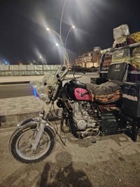 ستوته • فحل • موديل25