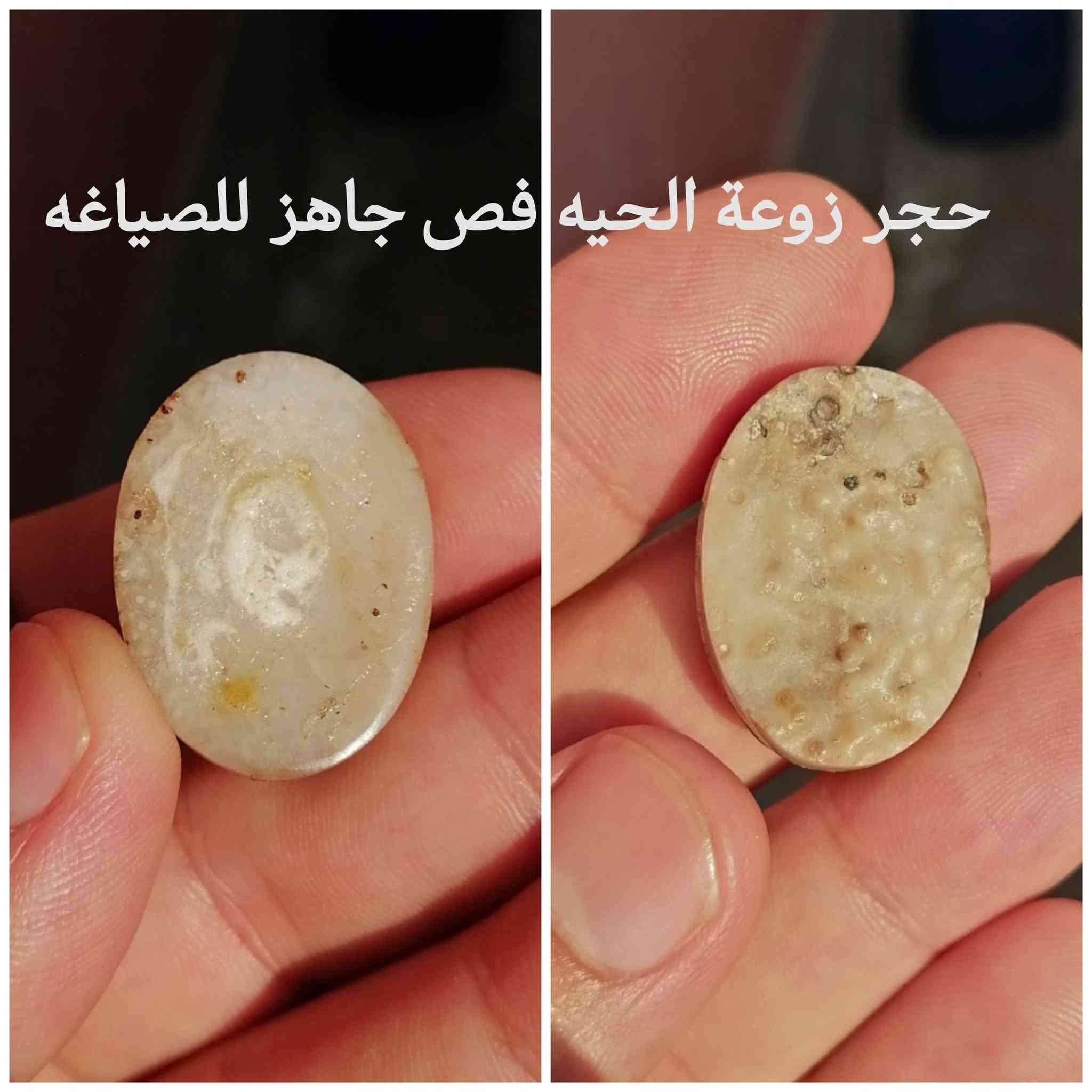 شفت العبد • دلوعه يمانيه • در نجفي