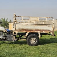 ستوتة • فحل • اوراق اصولية