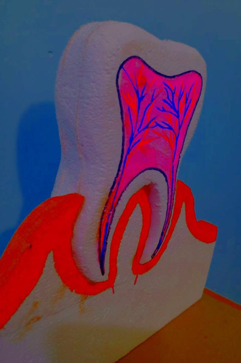 عنه • رسم+خط • جميع المراحل