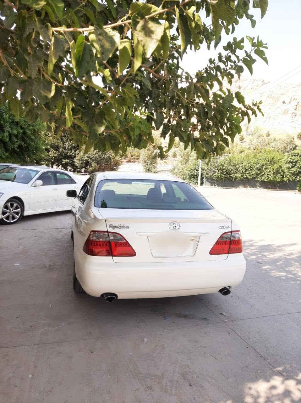 سلاوی خوای گه وره 
شاهینه ی بڕاوه ی بیکۆدبیکۆد
مۆدیلی2006ناوزه رد
تازه داغل بووبه س ماشاالله ی ئه ویت
کامل مه سره ف کراوه ته بریت جامی هه ل گیراوه 
حه مام کراوه ناوی شوینی بڕاوه که یم چاک کردووه 
هه ندبریکیم به ستوووه یه ک پارچه یه 
به س سایه قیکی ده ویت لی بخوڕیت کامل جایزه 
مه کینه ی پچووک به گه وره واته گیری گه وره یه 
بیته قه وڕه قه شه ست هه زاری حه قیقی ڕوشتووه 
زۆرتازه یه ماشاالله لیبیت 
که ڤه رنه گۆڕاوه سه قف بۆیاخ نییه به شه رت حیزامیش بۆیاخ نه بیت مالی دۆسته سه یاره که 
برای به ڕیزم گه رمووشته رینیت سه ری خۆتوو منیش مه یه 
شینه له وه هه رزانترهه یه بیکڕه له گه ل ڕیزم بۆتان 
نرخی56$تۆزیک مه عامه له ی تیایه برایانه 
ژماره ی ته له فونم ***********
