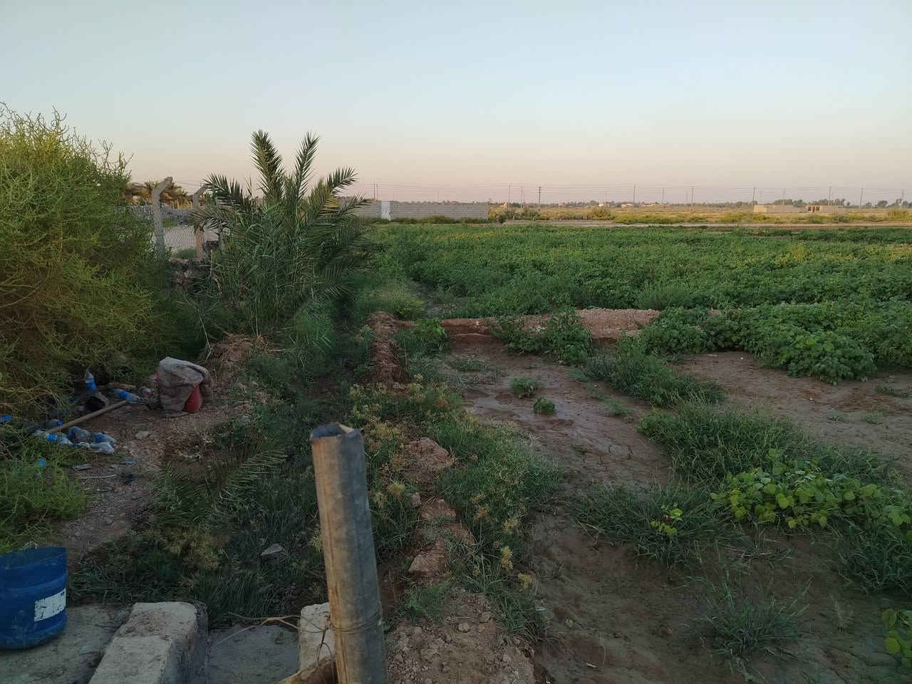 السلام عليكم عرض للبيع المساحه 7 دونم الموقع صويره باقي التفاصيل👇
***********
