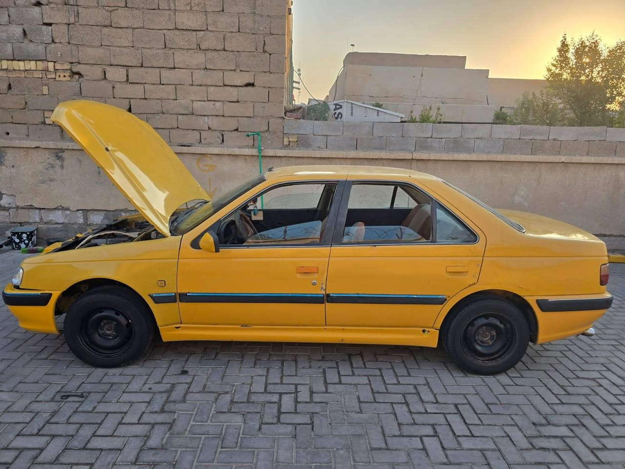 مكلف بنشر *********** رقم راعيها المكان بصره
