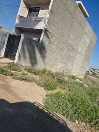 بستان الكبيسي • ارض زراعي • ١٣٠م