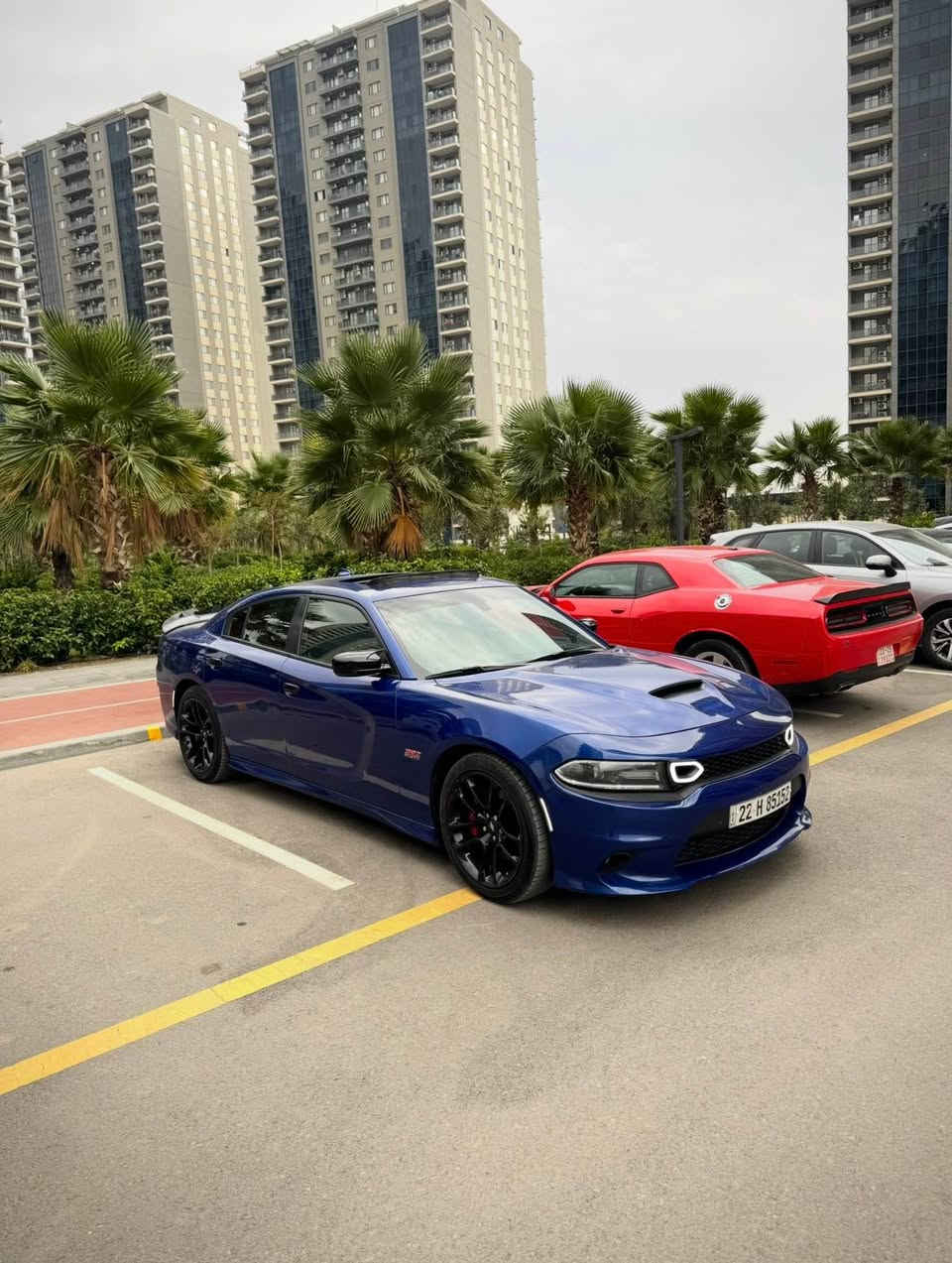 الوحش الامريكي
Dodge charger Scat Pack 2021
دودج جارجر سكات باك 2021
ارخص سكات كلين بالعراق
سعر السيارة 27,000$ يعني دفترين وسبعين ورقة وبي مجال بسيط سعر البلاش
مواصفات سكات باك
بصمة
الكاميرا الخلفية
مصابيح زينون الأمامية
مقاعد تدفئة
شاشة بيرفورمانس
شاشة
التشغيل عن بعد
V8 392 (6.4)Engine 4 *
102,000 ميل ماشية
السيارة كلش نظيفة ومرتبة
السيارة كلين بس دعامية امامية صبغ الباقي كفالة عاااامة سعر كلش مناسب
العنوان دهوك
***********
*********** Leimuiden, ZH

