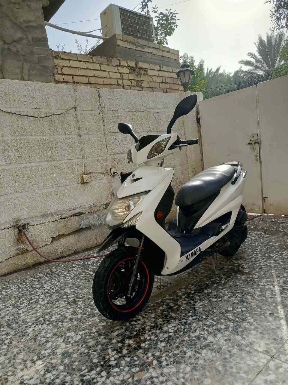 سكنس فحل • ٢٠١٣ • مكفول