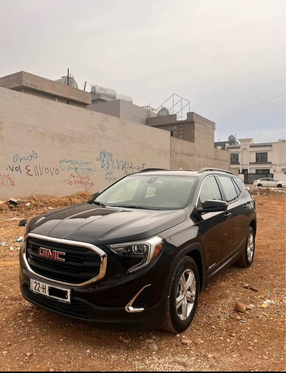 تيرين • صبغ • أربيل